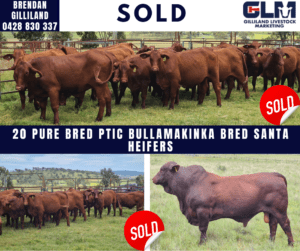 Copy of Copy of click below to view this weeks MLA Dalby Market ReportSale June 6th 2018 - 2022-11-22T140053.043