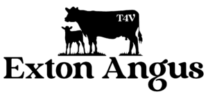 EXTON ANGUS LOGO